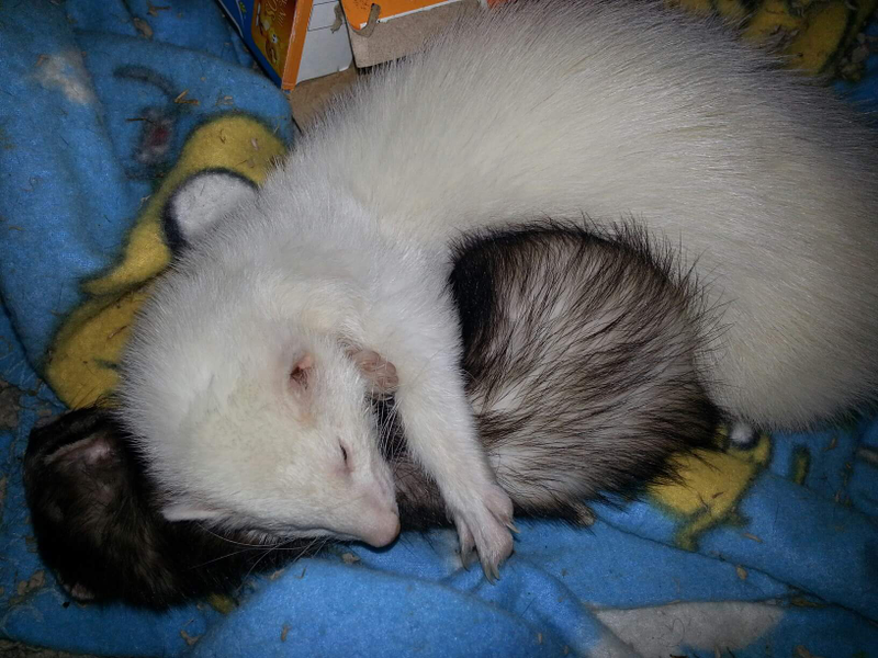 Dont let the night time snuggles fool you; their daytime relationship was anything but.
